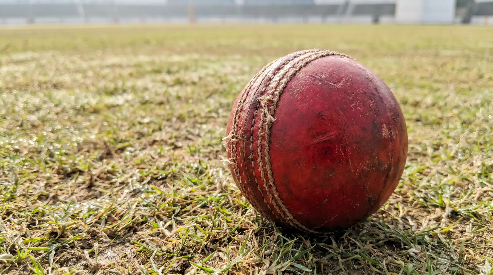 Close-up of a red cricket ball on a first-class pitch during a County Championship match