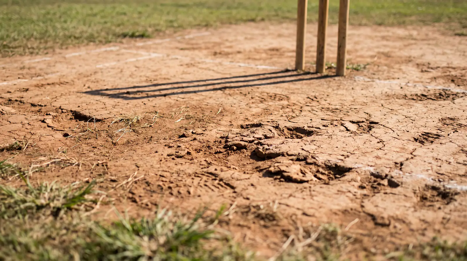 Close-up of a cricket pitch with visible grass markings and batting crease lines under natural sunlight